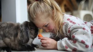 Bunny and child on the floor eating a carrot