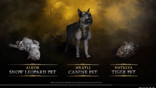 Pets in Diablo 4