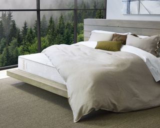 A luxury mattress uncovered on a platform bed in a moody bedroom, a white duvet thrown over one corner of it