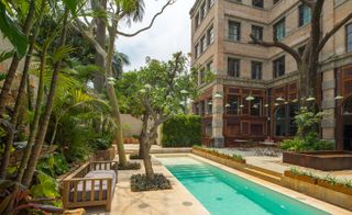 Narrow swimming pool with large plants in garden