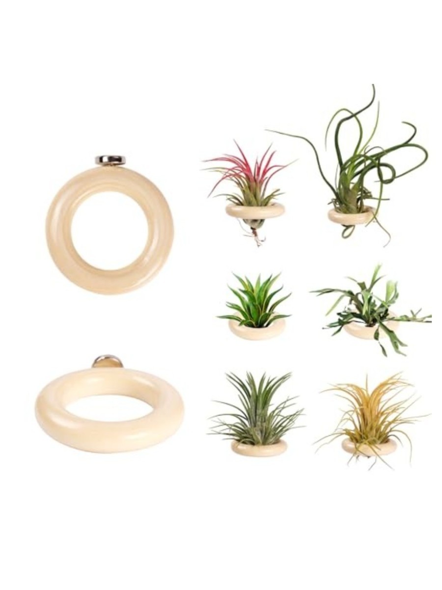 LNBNIEW, 6-Pack Wooden Air Plant Holder