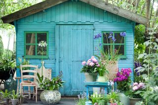rustic garden shed with colorful plant pots