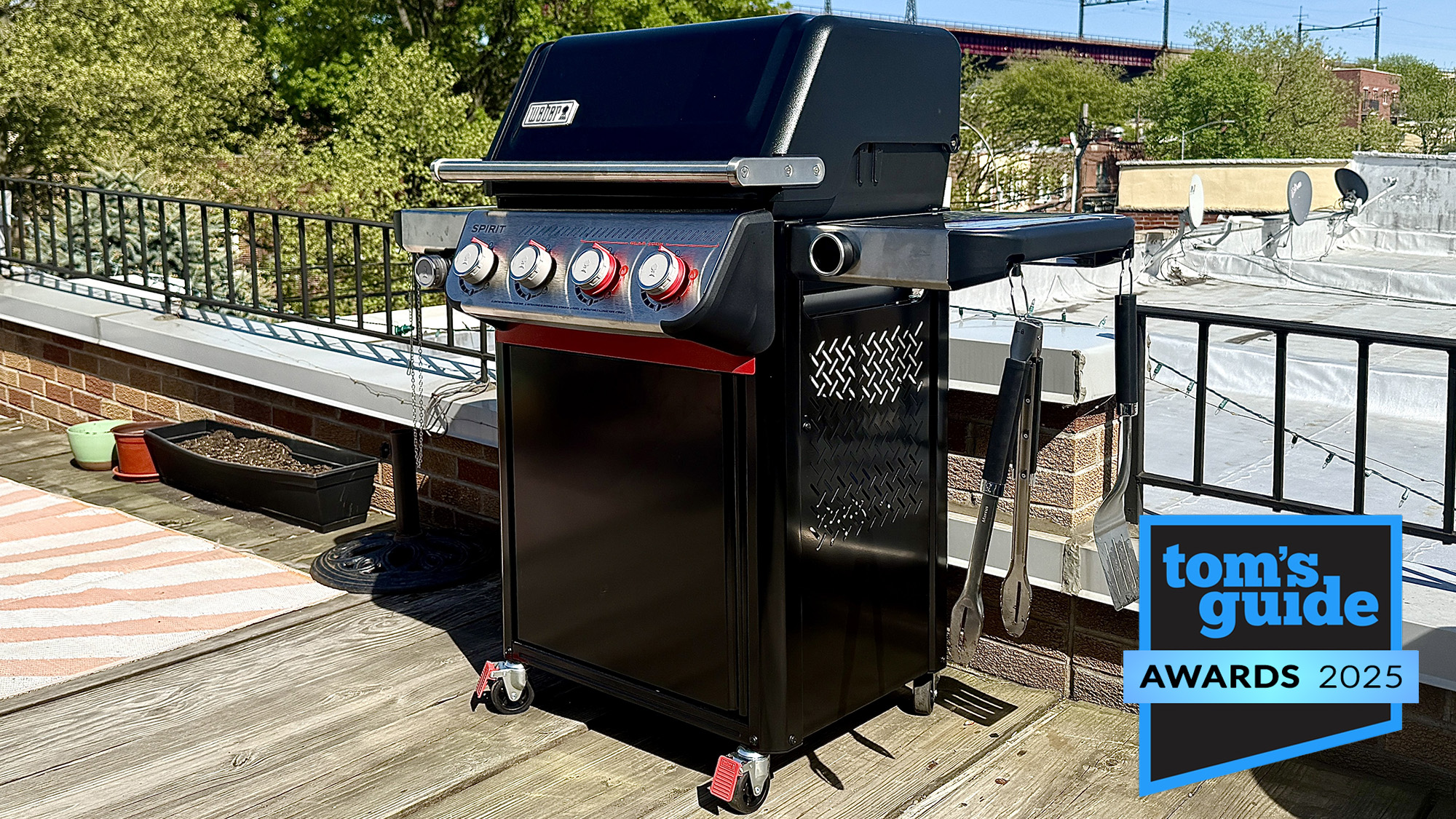 Weber Spirit EP-425