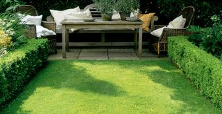 Summer lawn with traditional wooden garden bench to support an article on whetehr you should leave grass clippings on a lawn after mowing
