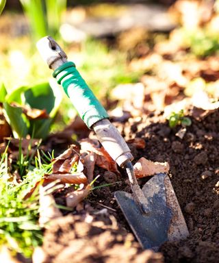 A small shovel with a green handle in a dark soil hole with green grass strands around it