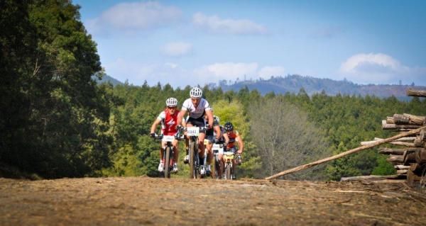 Brandon Stewart leads Burry Stander