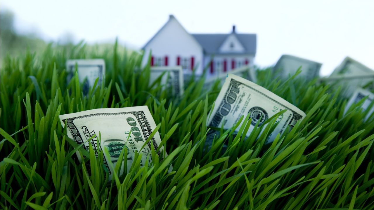 Hundred-dollar bills appear to be growing in the grass with a home in the background.