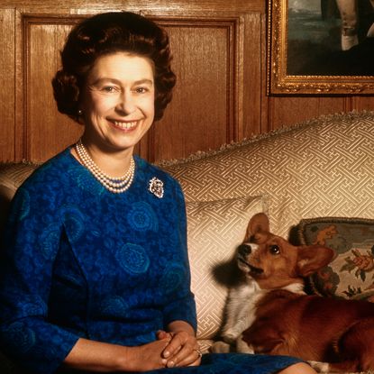 Queen Elizabeth wearing a blue dress sitting with a corgi