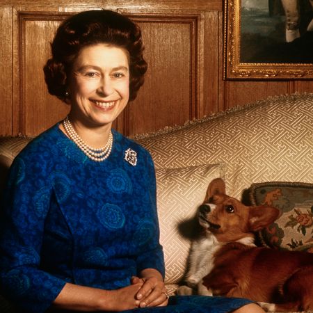 Queen Elizabeth wearing a blue dress sitting with a corgi