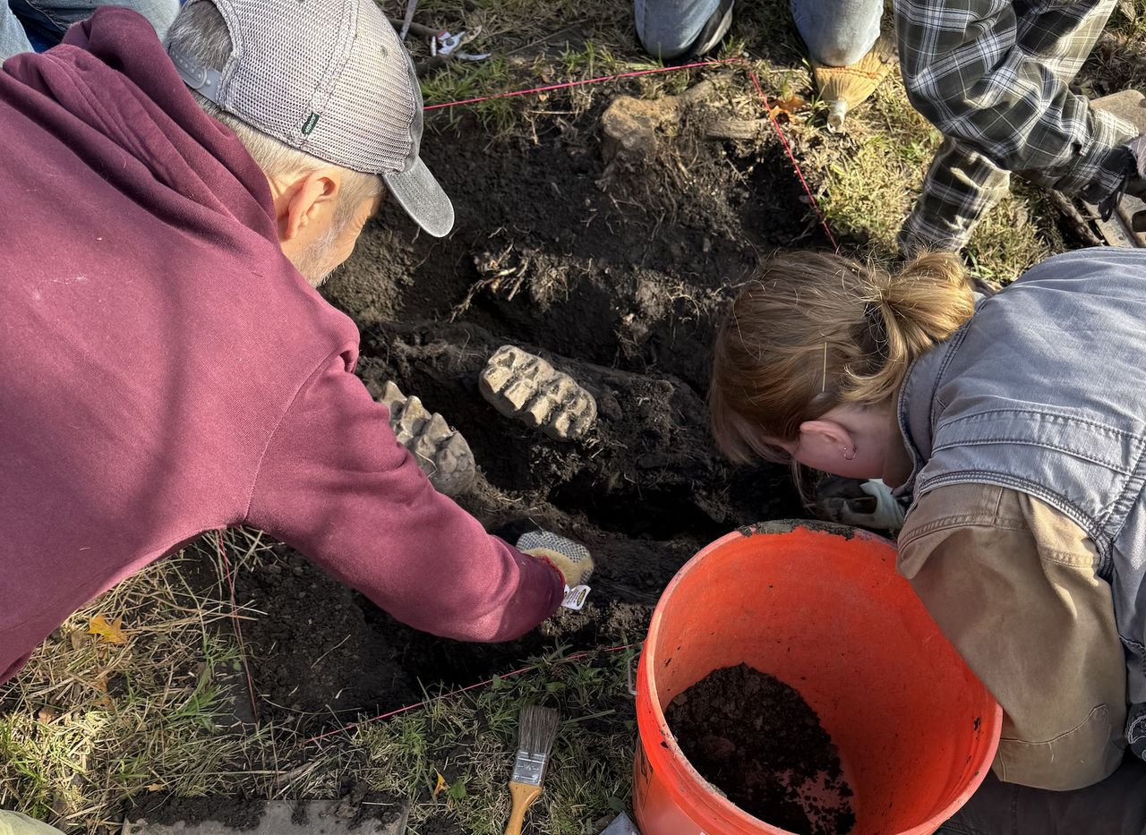 people excavate a mastodon jaw from the dirt