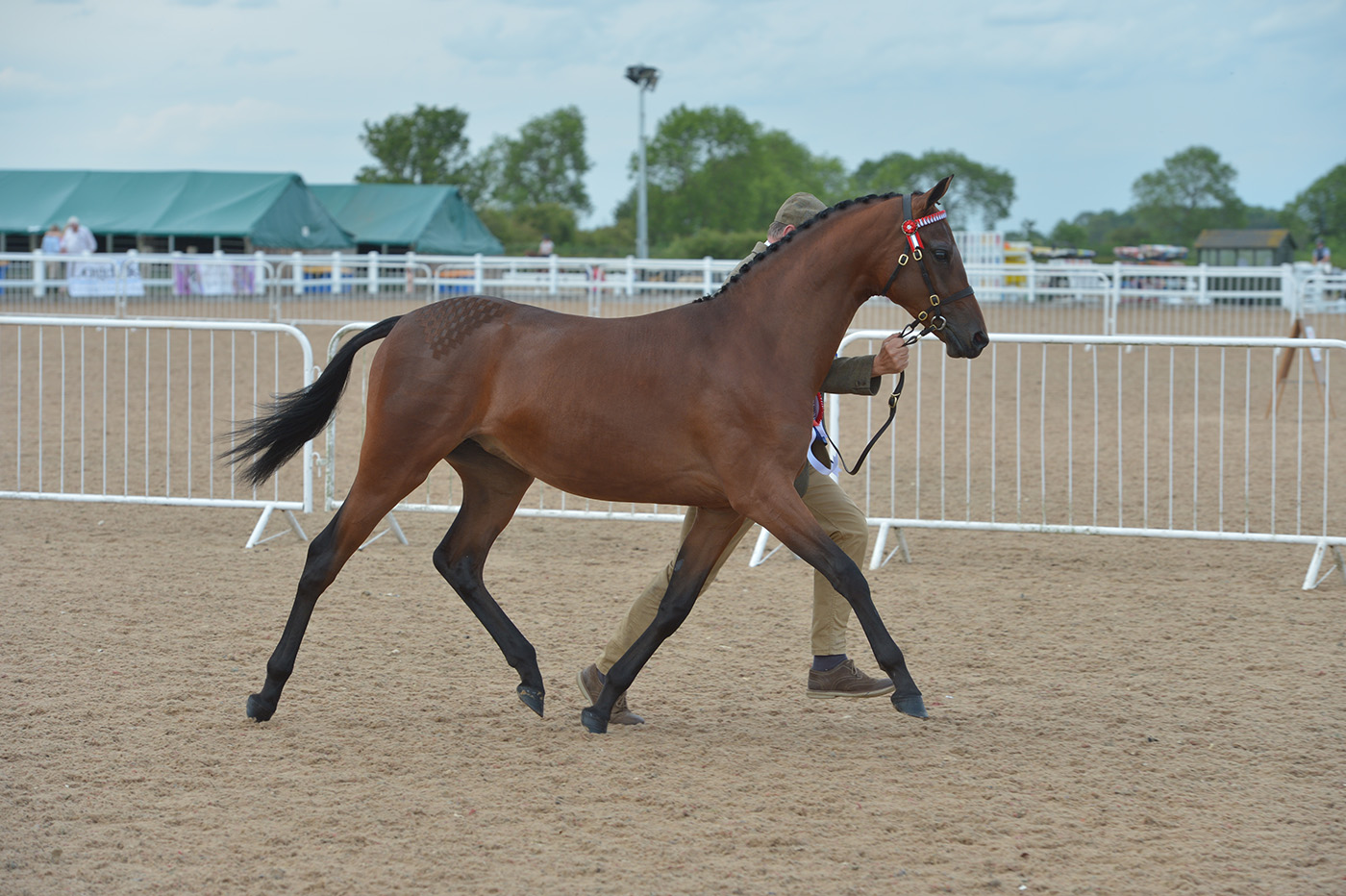 Midland Counties Show 01 06 2019