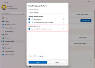 Set as display language option