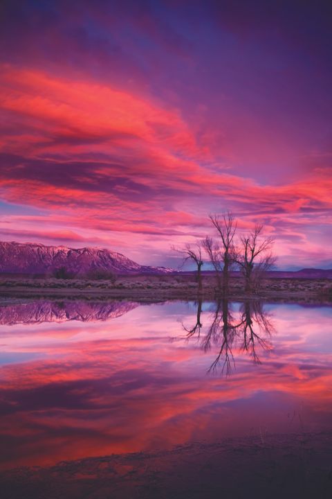 Learn How To Unlock Stunning Natural Colors In Your Photos Digital 