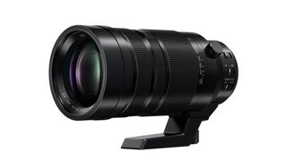 best lenses for bird photography - Panasonic DG Vario-Elmar 100-400mm
