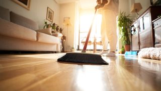 A person cleaning their home