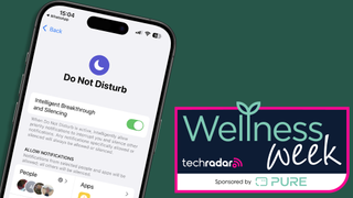 Do Not Disturb setting on an iPhone iPhone