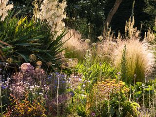 Mediterranean planting with ornamental grasses