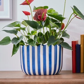 Scalloped Blue Plant Pot