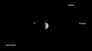Europa and the other Galilean moons are easy to see with a small telescope | Credit: NASA