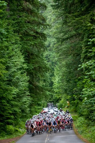 Heading up into the thick Oregon forests.