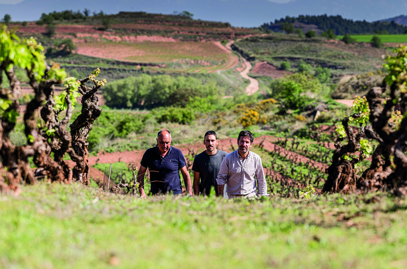 Richi Arambarri Perez, Fernando Garc&amp;iacute;a Navaridas and Ra&amp;uacute;l Garc&amp;iacute;a Acha in a vineyard