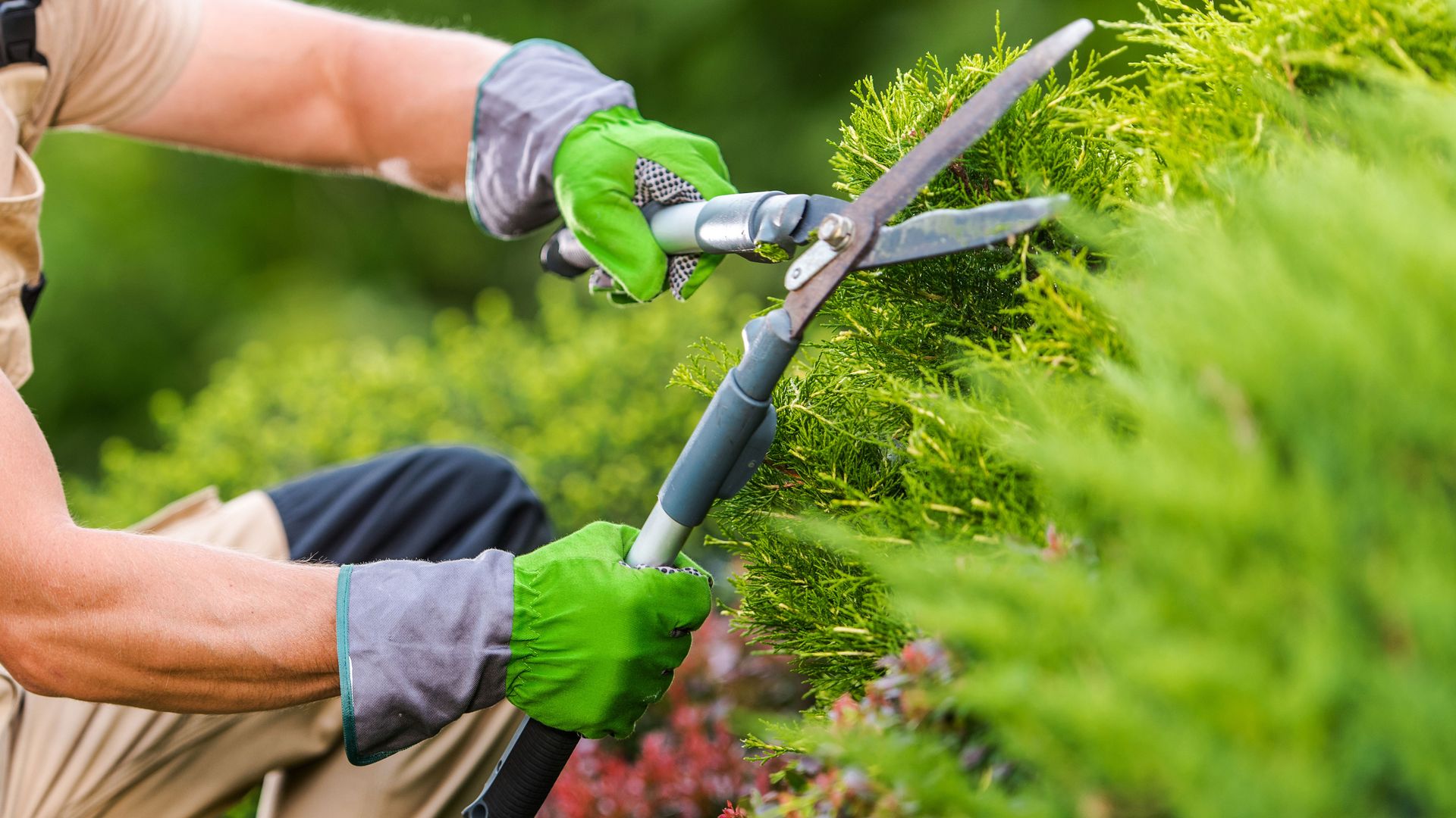 5 jobs to do in your yard in March to get it ready for spring | Tom's Guide