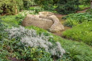 CHATSWORTH, DERBYSHIRE: DESIGN TOM STUART-SMITH: ARCADIA, WOODLAND, SHADE, SHADY, SEPTEMBER, ASTER DIVARICATUS, STONE SCULPTURE BY LAURA ELLEN BACON