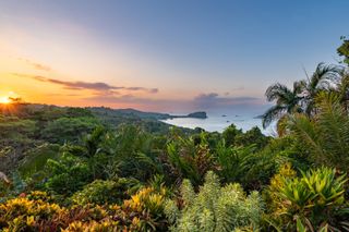 susan wokoma on costa rica