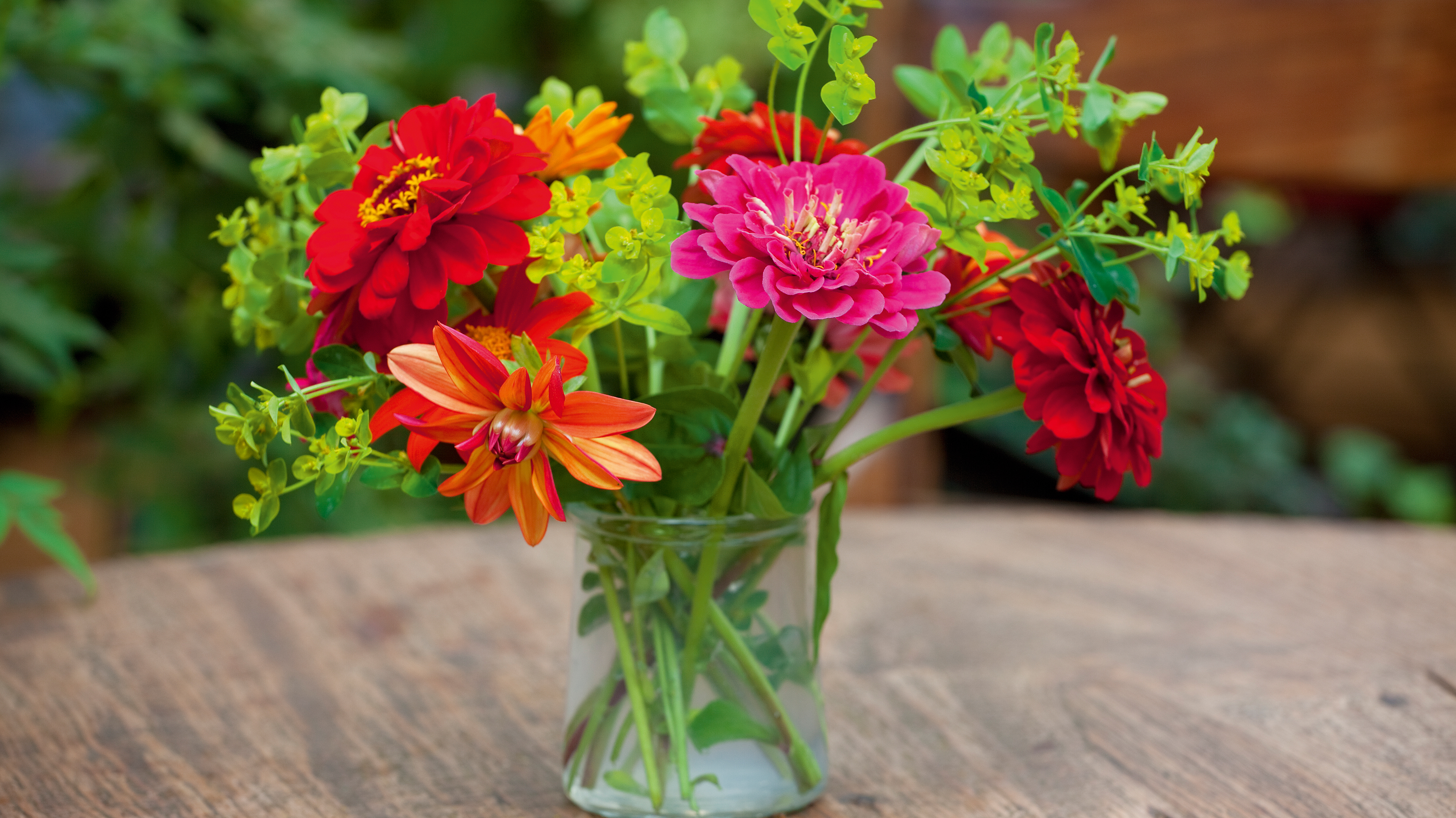 cut flowers in a vase