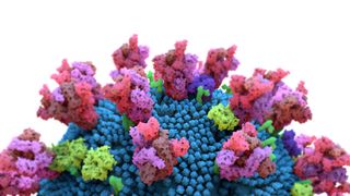 The coronavirus invades human cells using spike proteins that line its surface. Coronavirus vaccines prompt the immune system to build up a defense against the spike proteins.