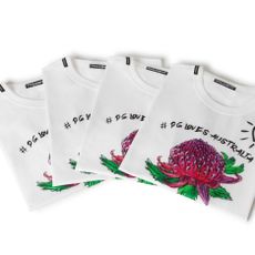 Plant, Font, Flower, Bag, Protea, Fashion accessory, Wildflower, Games, 