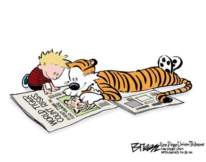 Editorial Cartoon U.S. Tiger Count Rising 2016