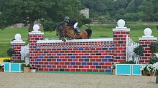 Louise Saywell showjumper