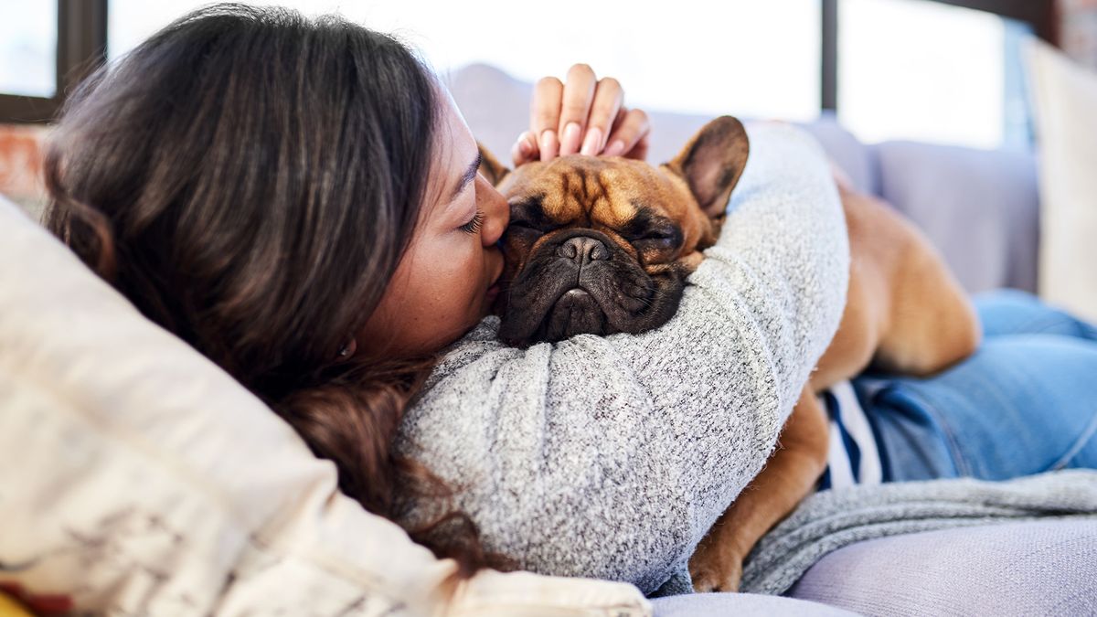 Woman cuddling French Bulldog and showing her love