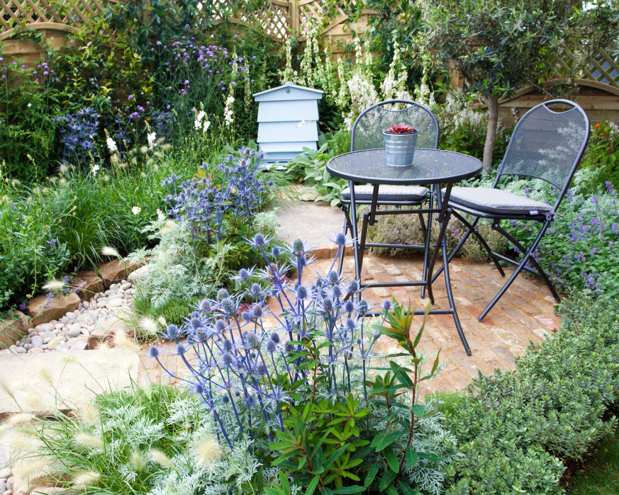 Herbs around a patio
