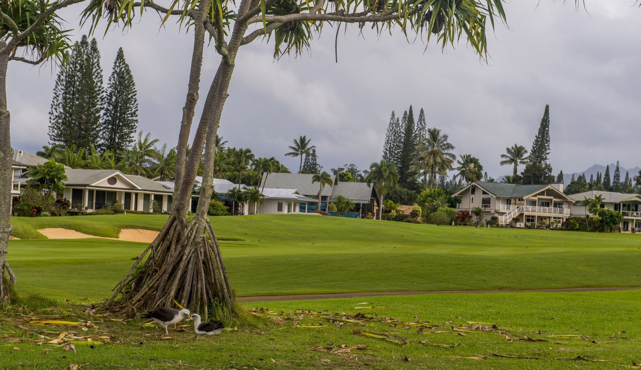 House by a golf club