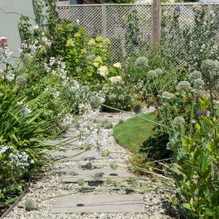 curved pathway with pale slate stones and shingle surrounded by alliums and agapanthus