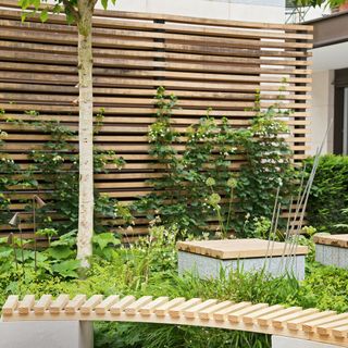 Garden with wooden fence and curved bench on edge of brick path