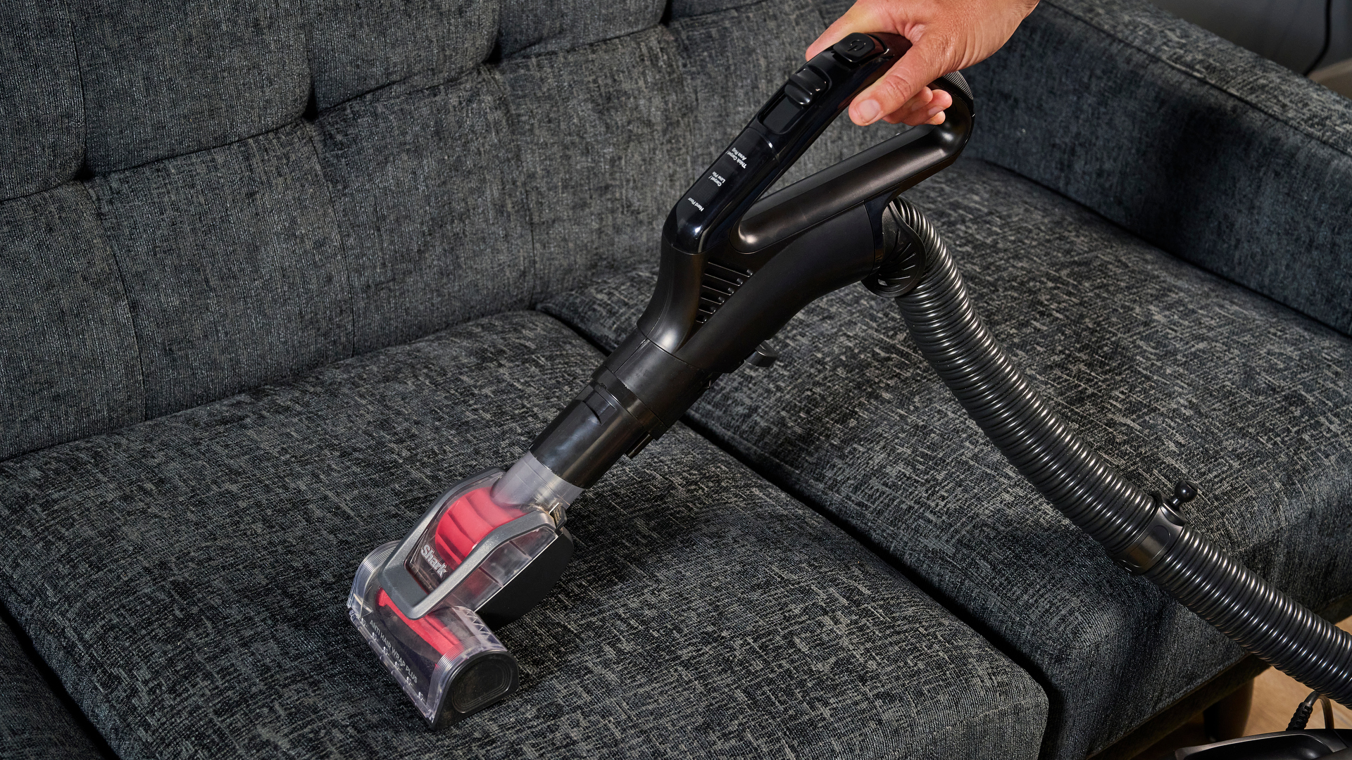 Cleaning upholstery with the Shark Stratos Pet Pro Upright Vacuum's anti hair wrap pet tool