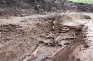 More skeletons unearthed at the site of a Medieval knight's tomb