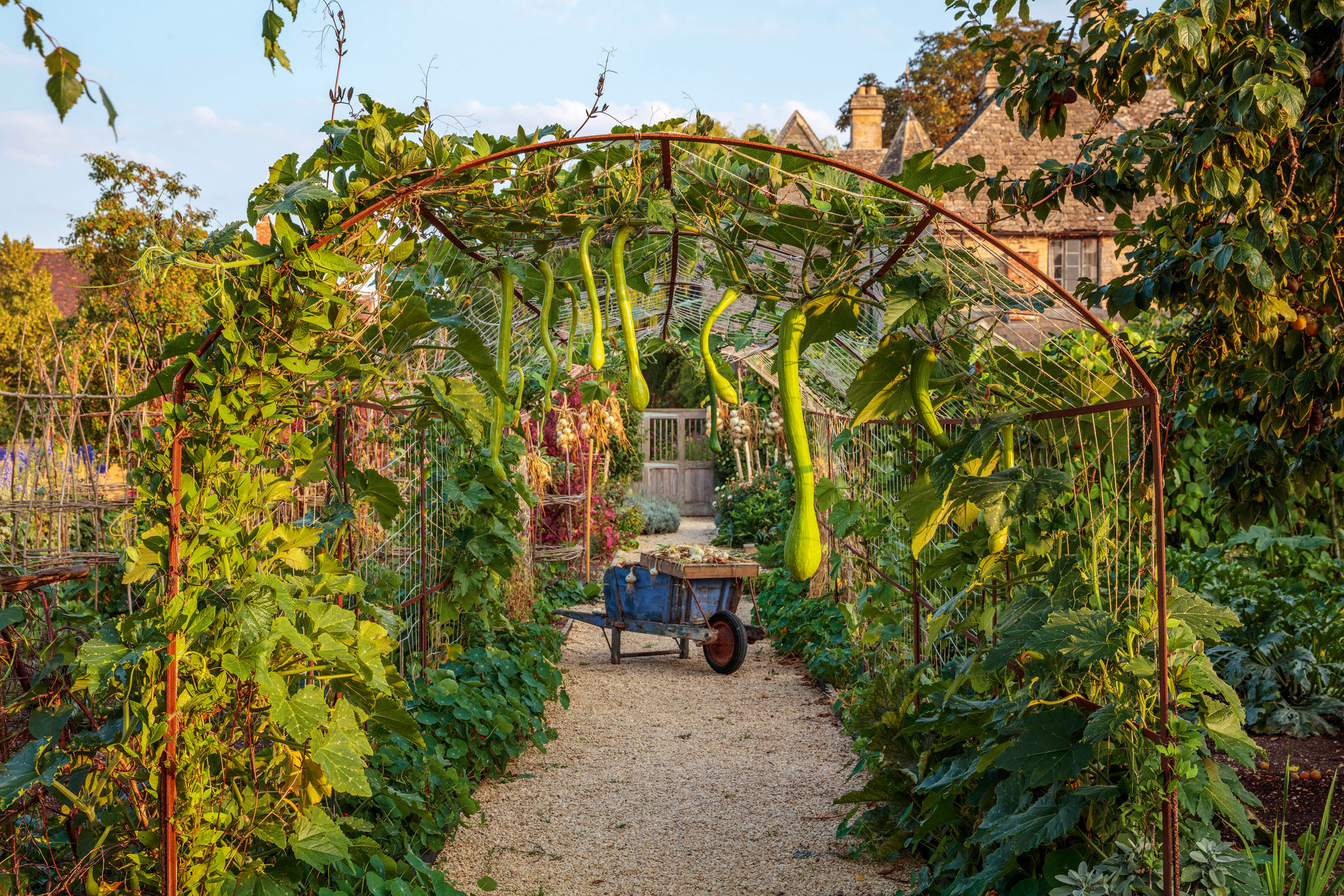 Ham Court's garden