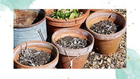 picture of old flower pots with leftover soil