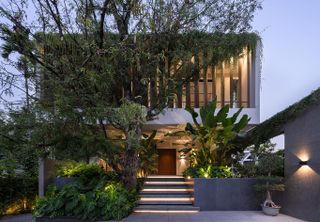 The Plumeria a concrete house engulfed in tropical foliage in India