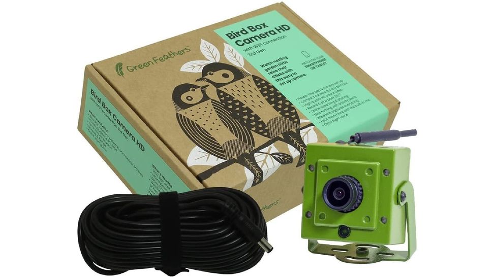 The Best Bird Box Camera In 2024 Digital Camera World   Fhv8uNQTjDCWYYSXFHRLEk 970 80 