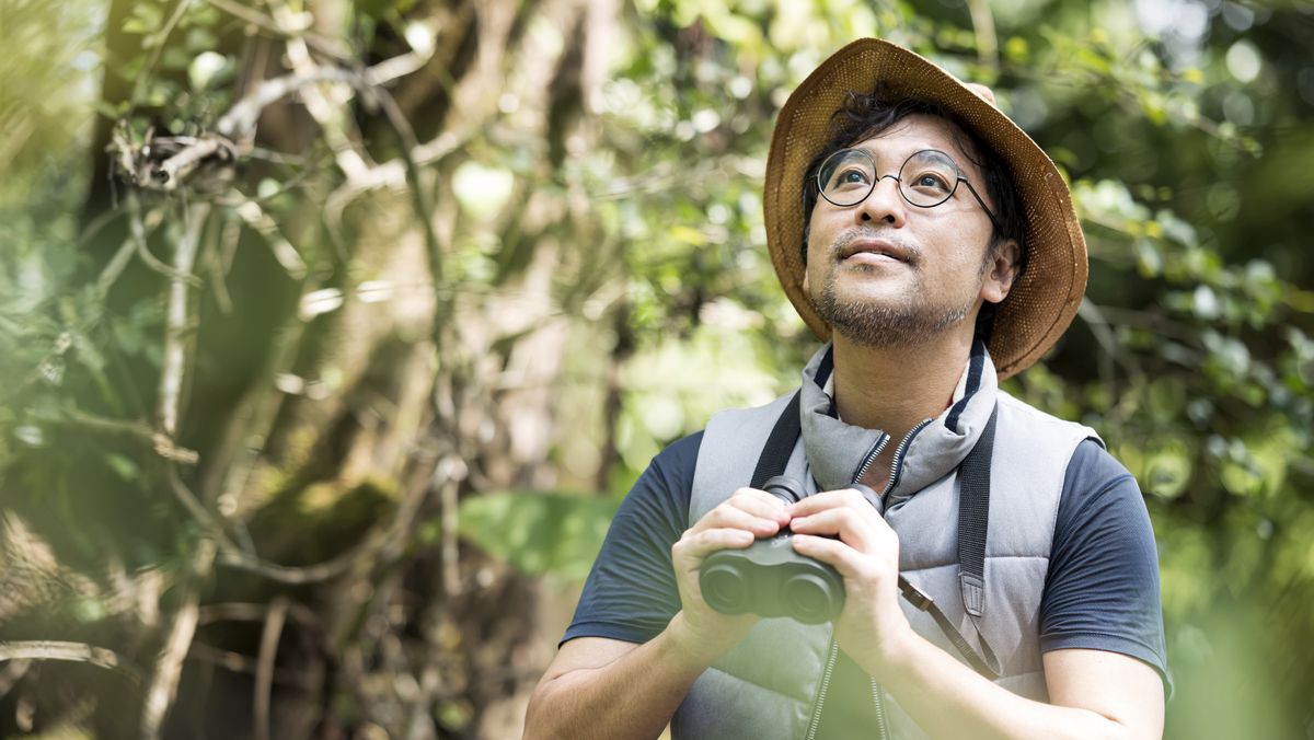 how to bird watch: man birdwatching