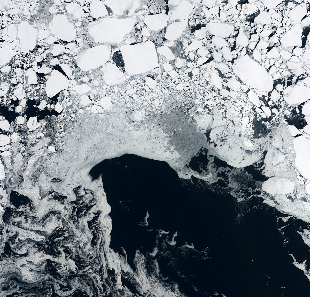 Arctic sea ice