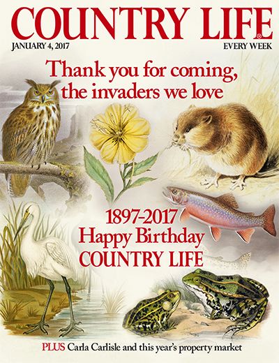 Country Life January 4 2017