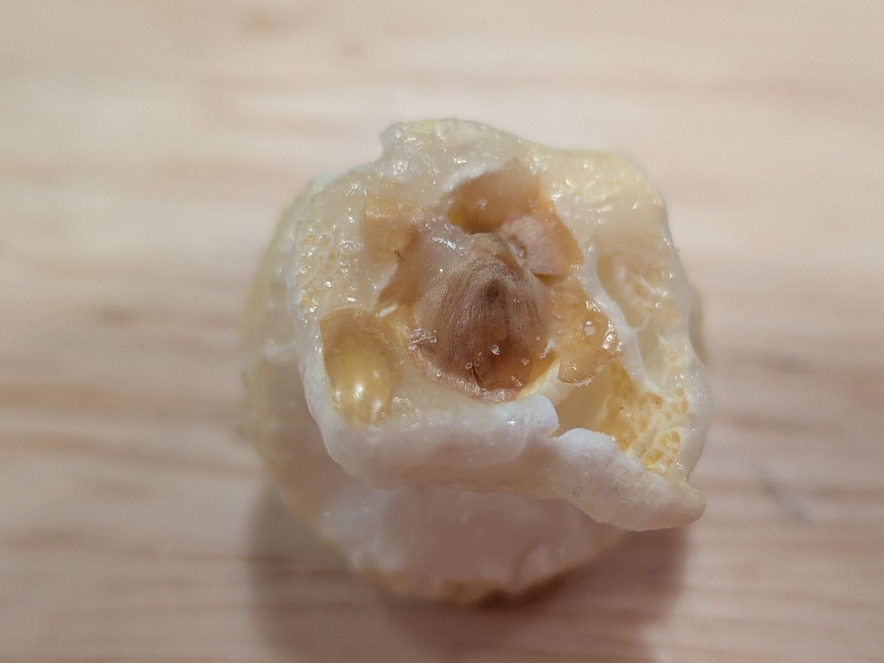 Google Pixel 9a macro sample.