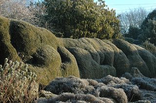 Knowle Hill Farm