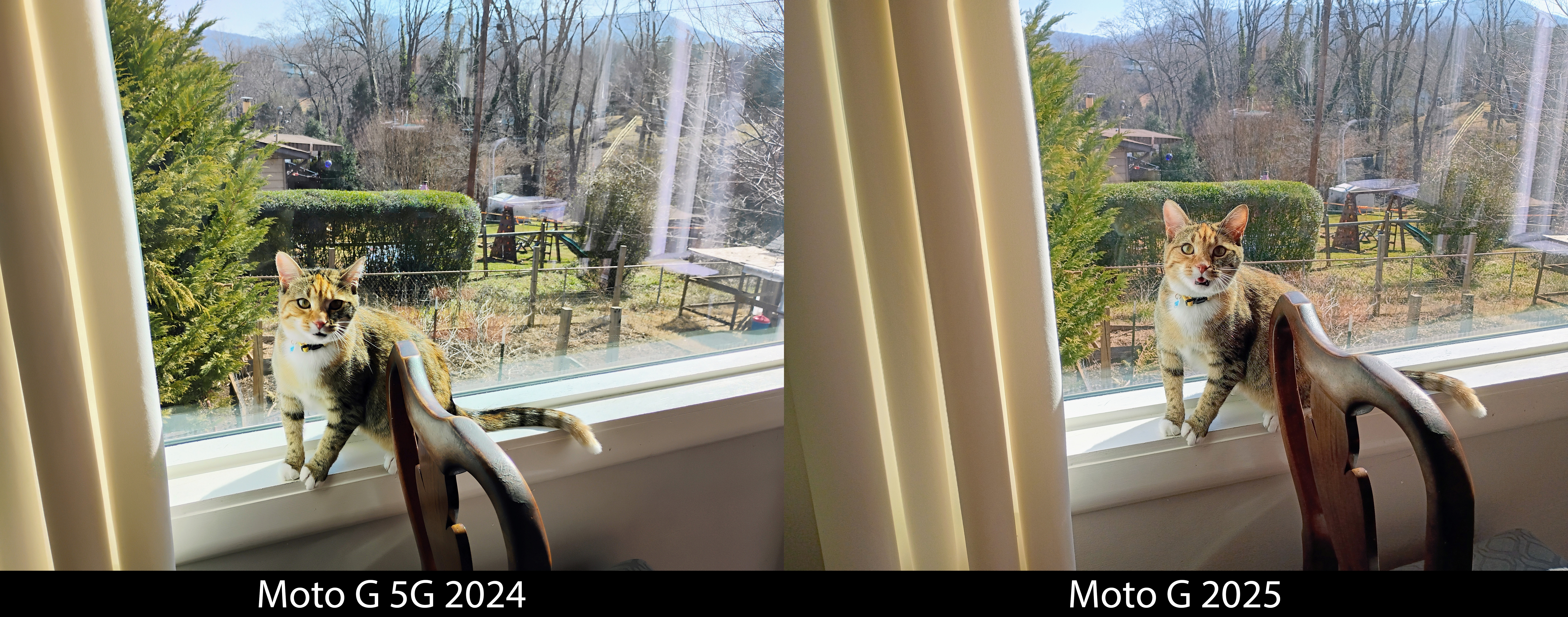 Comparing the Moto G 5G 2024 and Moto G 2025's camera quality